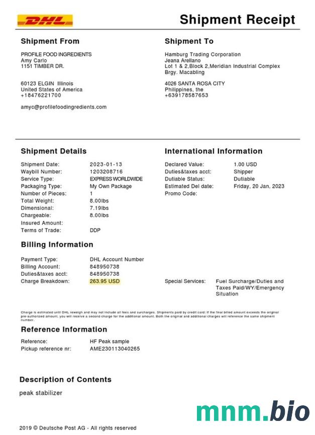 DHL Service Shipment szablon paragonu PSD